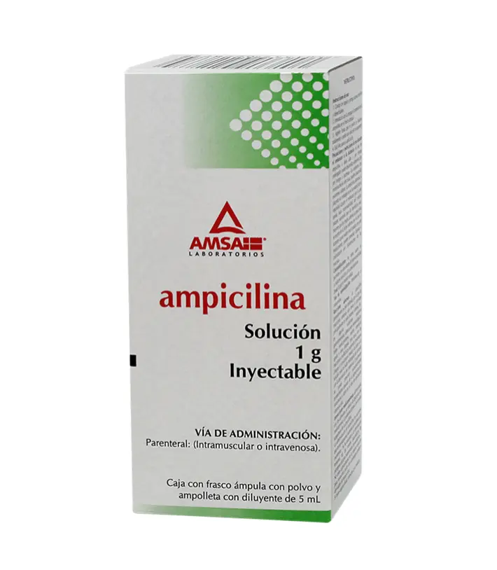 AMPICILINA 1 FA 1G/5 ML AMPICILINA ANTIBIÓTICO