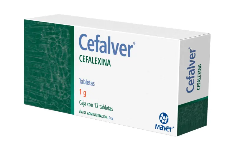 CEFALVER 12 TAB 1 G CEFALEXINA ANTIBIÓTICO