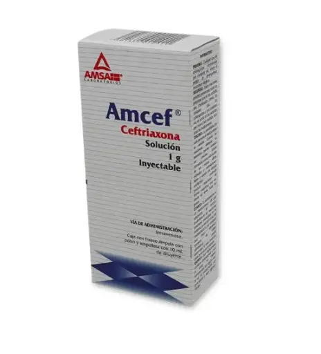 AMCEF I.V. 1 FA 1G/10 ML CEFTRIAXONA ANTIBIÓTICO