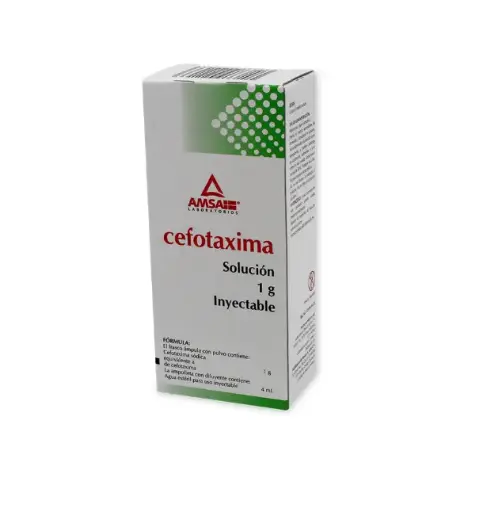 CEFOTAXIMA 1G/4 ML CEFOTAXIMA ANTIBIÓTICO 
