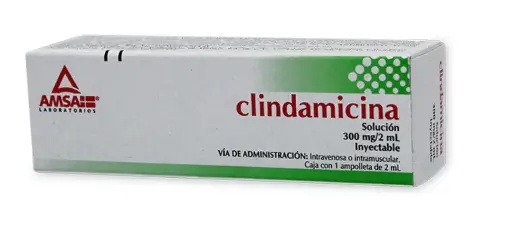 CLINDAMICINA 1 AMP 300MG/2 ML CLINDAMICINA ANTIBIÓTICO